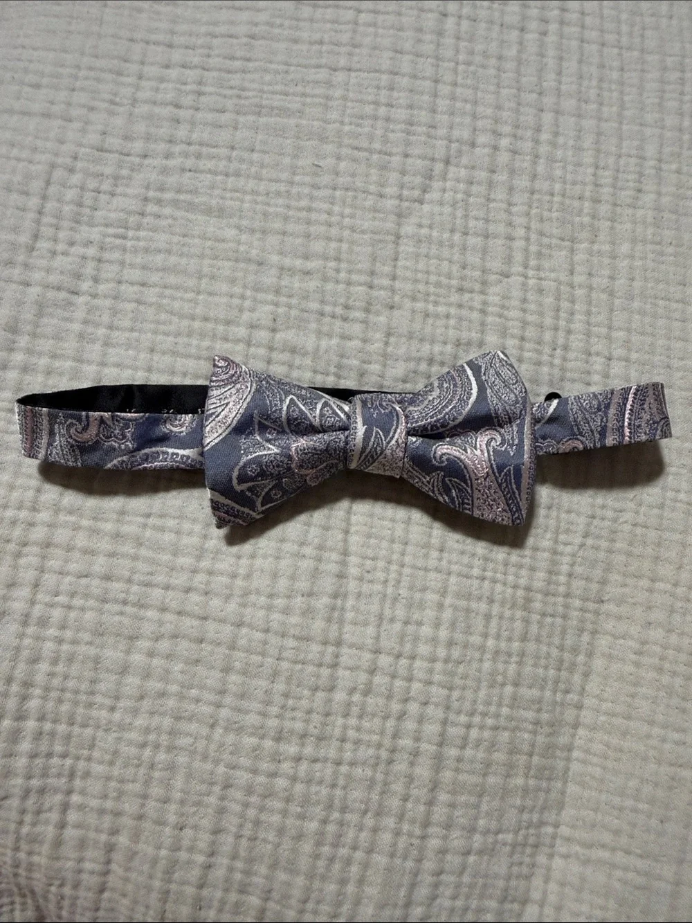 Ryan Seacrest Distinction Paisley Bow Tie in Navy Blue and Light Pink
